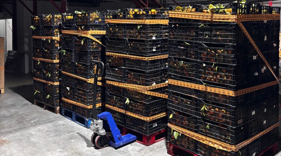 Bild Paletten Transport BNO Exklusivtransporte